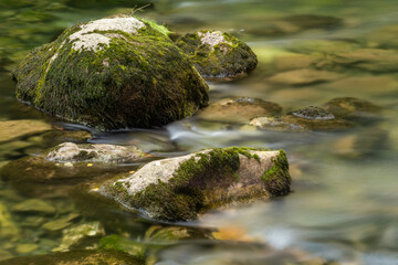 Moss-covered stones in a flowing stream