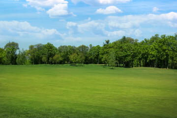Naklejka na ściany i meble Beautiful view of park with green grass on sunny day