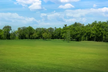 Fotobehang Beautiful view of park with green grass on sunny day © New Africa