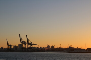 Cranes in silhouette