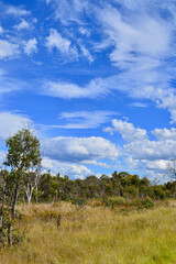Fototapeta na wymiar A view along Chifley Drive near Clarence, NSW
