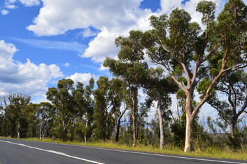 Fototapeta na wymiar A view along the Chifley Drive near Clarence, NSW
