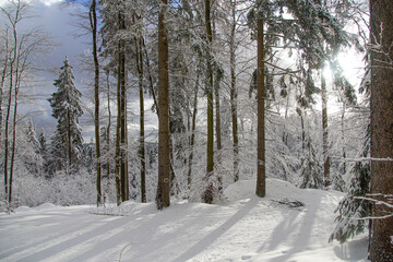 Winterlandschaft im Fichtelgebirge Sonne 