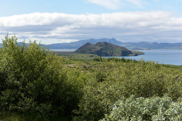 Fototapeta premium Vegetagion auf Lavafeldern und der See Thingvallavatn im Nationalpark Thingvellir in Island