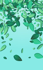 Green Leaf Fresh Vector Blue Background Banner.