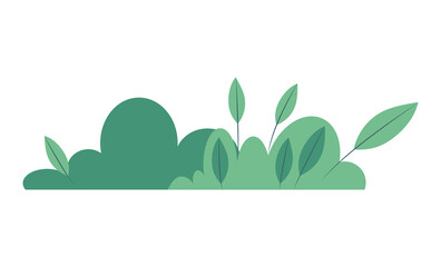 Isolated flat vector illustration green bush.