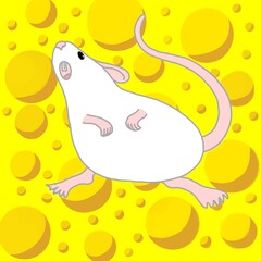Funny rat on a background of cheese. White rat. Cartoon. Cheese background.