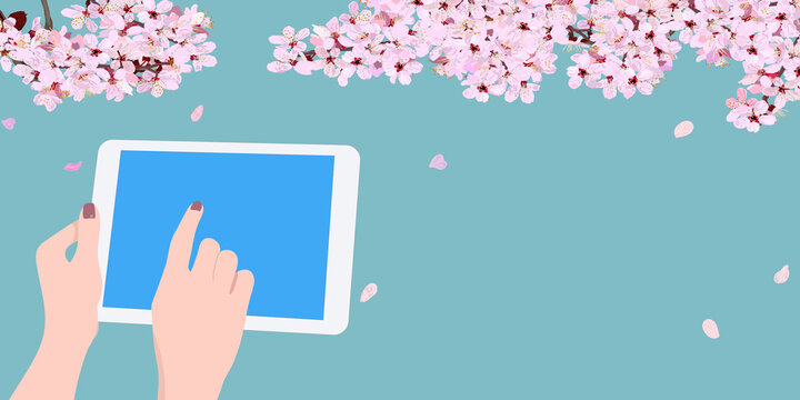 Cherry blossoms, hands playing with tablets, falling cherry blossom petals, copy space, vector illustration, sign, poster, web banner, web header, mockup, greeting card, spring,