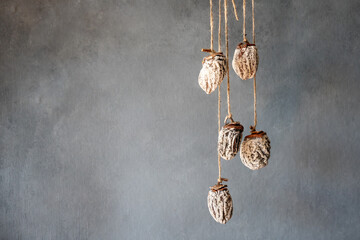 dried persimmon hanging on the ropes. Gray background
