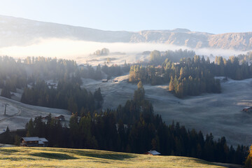 The first morning frosts on Seiser Alm plateau covered with morning mist