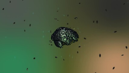 Human brain Model 3D glossy brain rendering