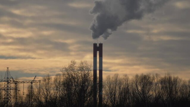 Tall chimney with acrid smoke against the background of tall trees without foliage.