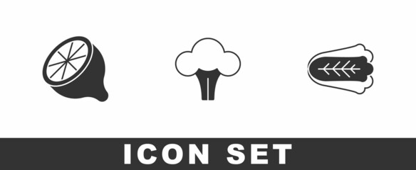 Set Lemon, Broccoli and Cabbage icon. Vector