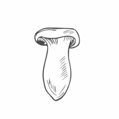 King Trumpet doodle mushroom. Vector illustration of wild mushrooms