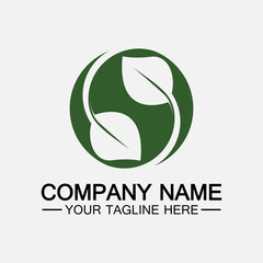 Leaf logo vector icon design template