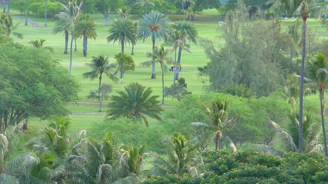 Golf field in tropics in 4k