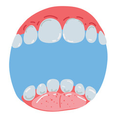 Vector illustration of human teeth, open mouth, inside view