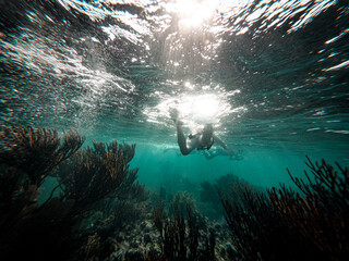 arrecife 6