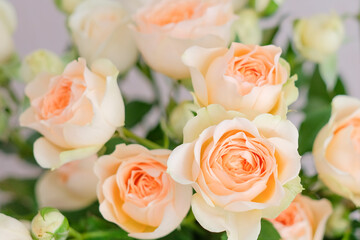 Bouquet of small roses in pastel colors. Close-up of a rose. Floral background. High quality photo