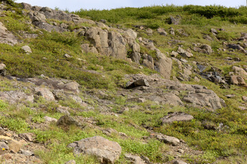 Landschaft bei Laugarholl - Island