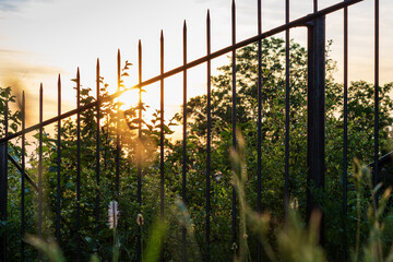 sunset sky over the fence in green environment, view from the ground.