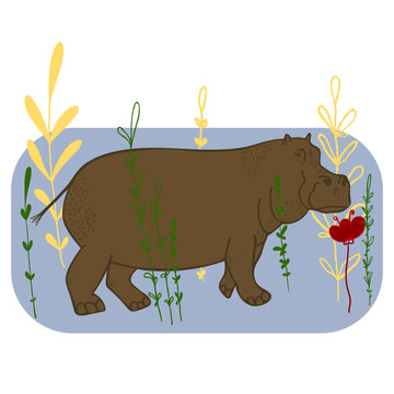 Image of a cute hippopotamus in the grass with a red flower