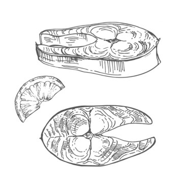 Hand drawn vector fresh fish steak illustration
