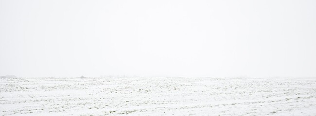 Panoramic view of snow-covered agricultural field, soil texture. Concept winter landscape, ice desert. Nature, remote places, off-road, climate change, weather © Alex Stemmer