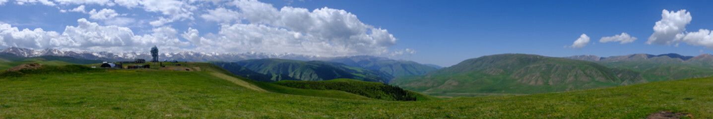 Fototapeta premium Blooming flowers on Assy plateau with observatory dome on background. Spring in Tien-shan mountains.