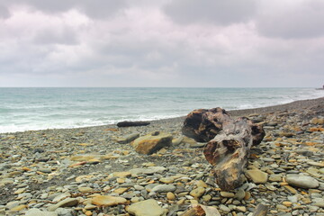 seascape a large log washed up on a rocky shore by a storm