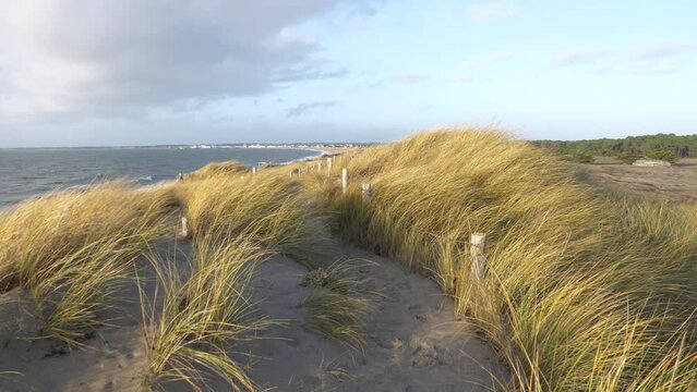 The landscape of Pen Bron. December 2021, Autumn, La Turballe city, France.