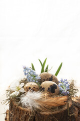 Easter decor in a natural style on white background. Quail eggs with muscari mouse hyacinth in the nest. blur and selective focus