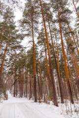 Winter landscape. Elovoe lake, Chelyabinsk region, Russia