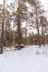 Winter landscape. Elovoe lake, Chelyabinsk region, Russia