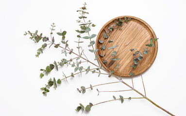 eucalyptus branch, wooden circle isolated on white background. Place for product demonstration,...