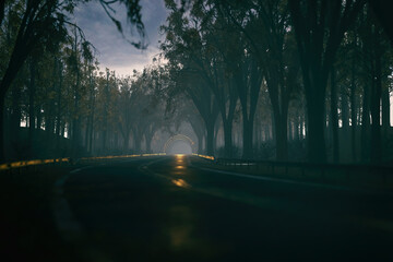 Empty misty road in an autumn forest leading to a tunnel. 3D render.
