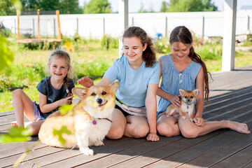 Three cute girls play with corgi and chihuahua dogs in the backyard in summer