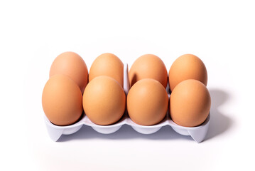 ten chicken eggs in a white plastic cell in the center on a white background