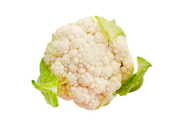 cauliflower close-up on a white background