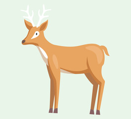 Cute deer with antlers, vector illustration. Standing antelope side view. Cartoon style drawing wild forest herbivorous animal. Gazelle zoo and nature concept, brown springbok, hoofed mammal