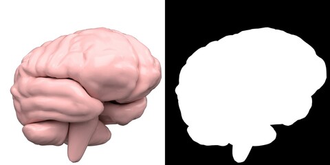 3D rendering illustration of a stylized human brain