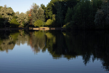 Fototapeta na wymiar Lake in park. Pond in city. Surface of water.