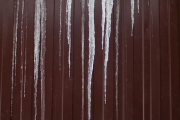 Icicles on roof. Water glassed down and froze. Cold weather. Ice hangs against background of wall.
