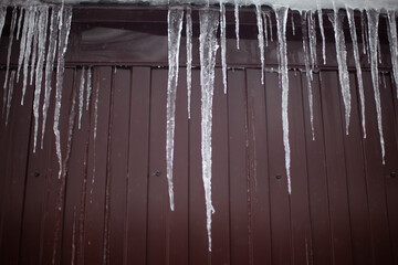 Icicles on roof. Water glassed down and froze. Cold weather. Ice hangs against background of wall.