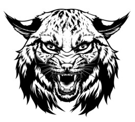 Angry bobcat head digital ink vector drawing.