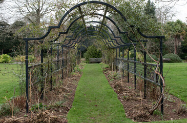 A rose arch in a country garden during winter. Cold, bleak and waiting for spring