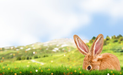beautiful easter background in nature with mountains and meadow and beautiful easter bunny with...