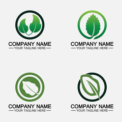 Leaf logo vector icon design template