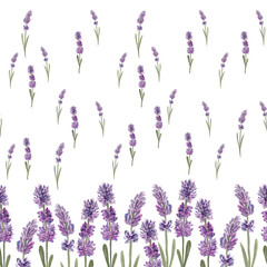 Watercolor seamless border flowers lavender