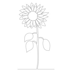 sunflower contour one line sketch vector